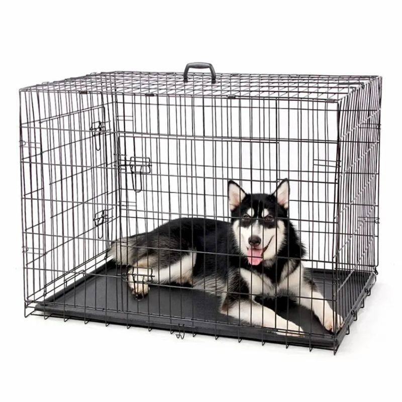 Pet Cage nwere obi ike